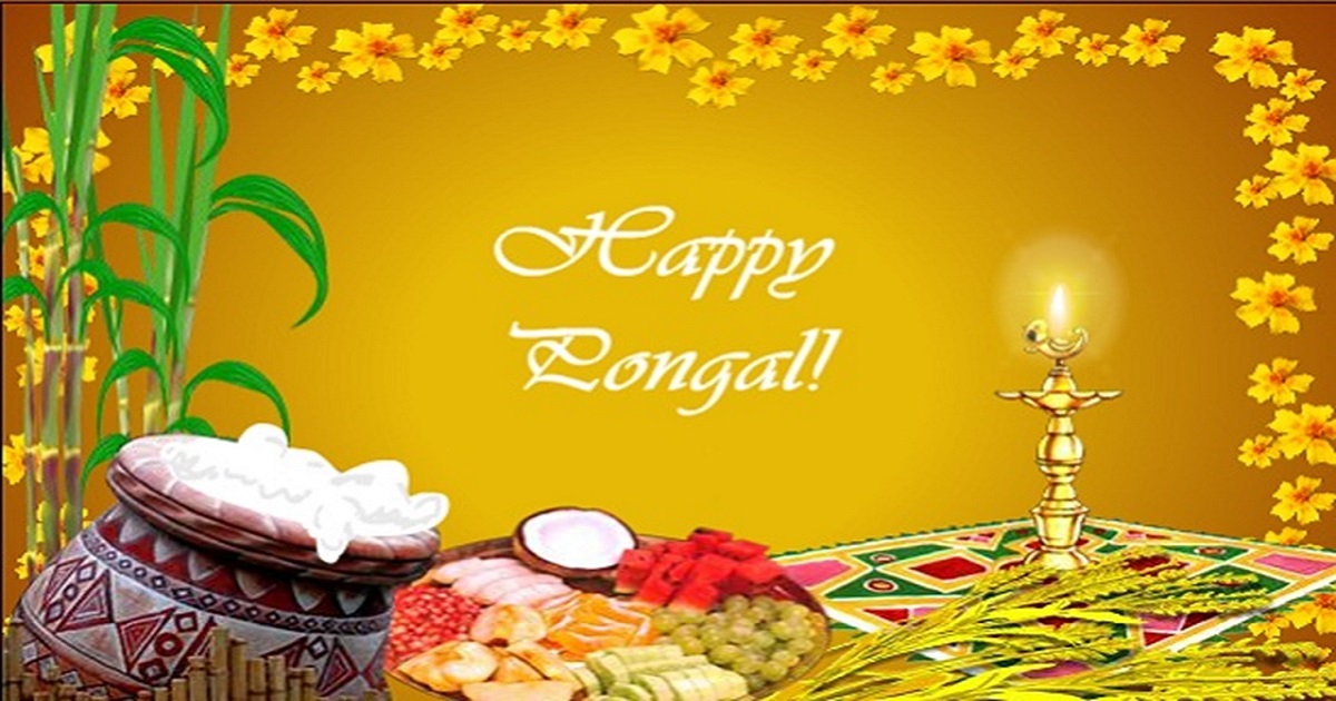 happy pongal greetings 2018