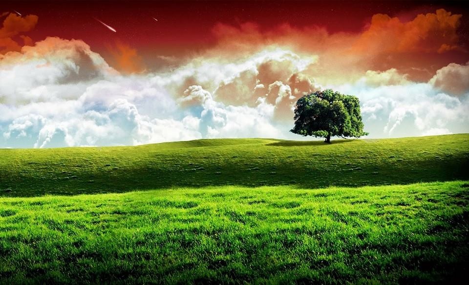 india flag hd images