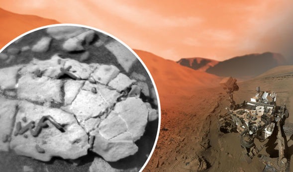 NASA Mars Rover's Images Similar To Trace Fossils: Scientists
