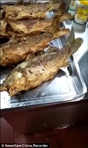 fish comes to life after fried