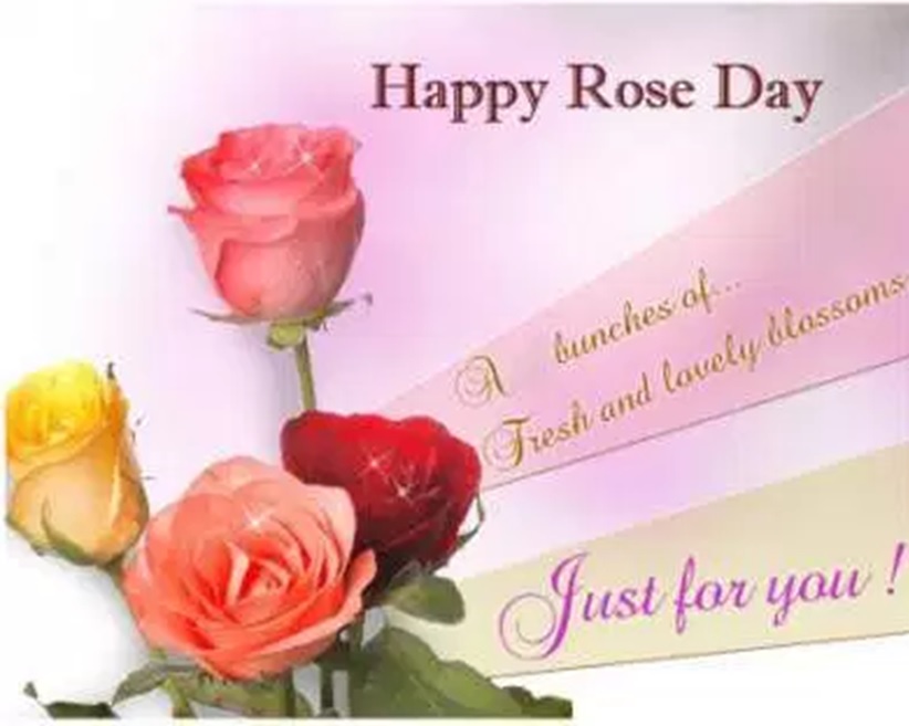 rose day wishes