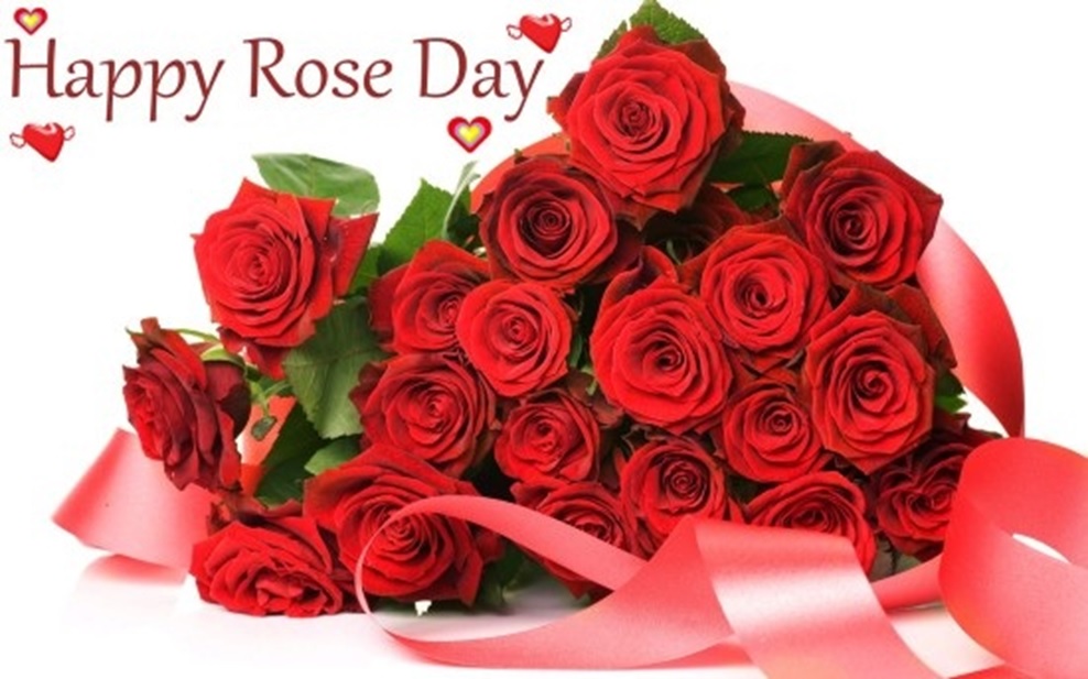 Happy Rose Day 2018 HD Images With Quotes – 7th Feb Rose Day Photos 3D  Pictures Download