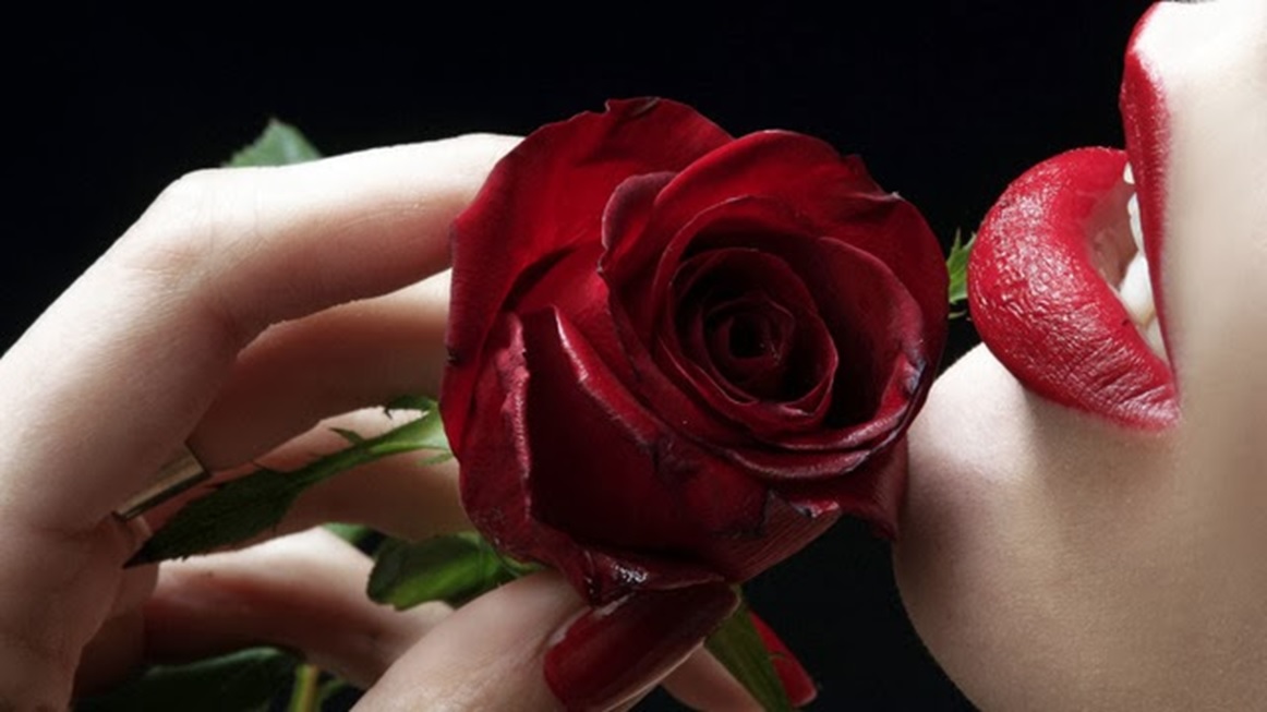 happy rose day photos