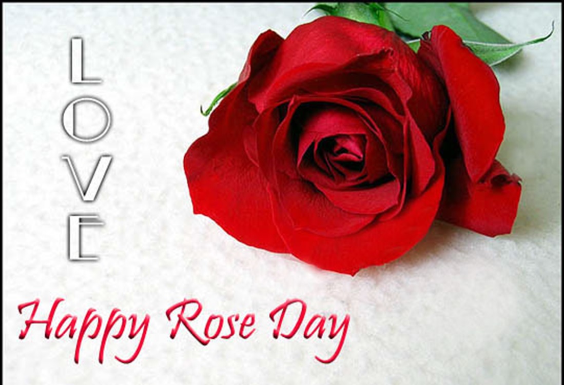 Rose Day.