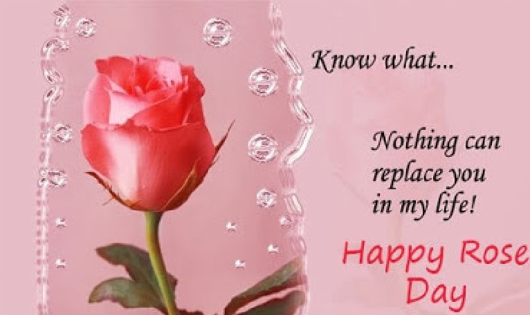 happy rose day wishes