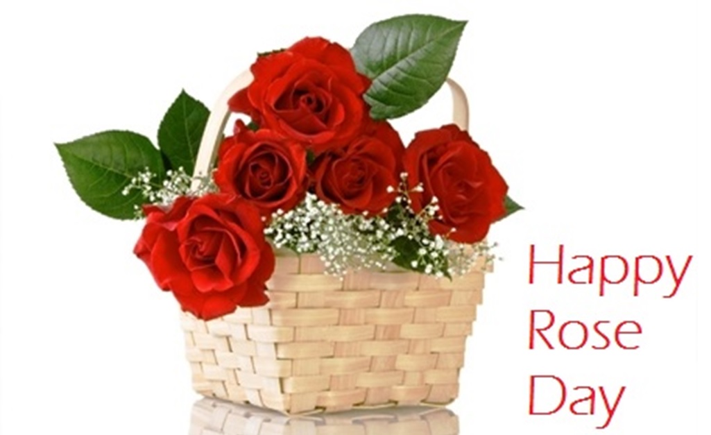 happy rose day hd wallpapers