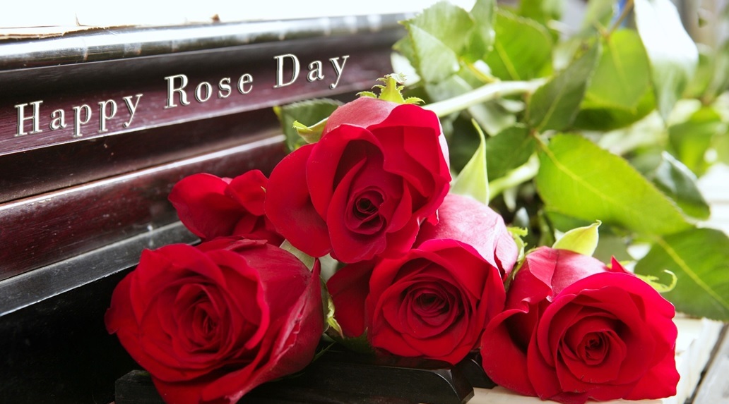 rose day 2018 images