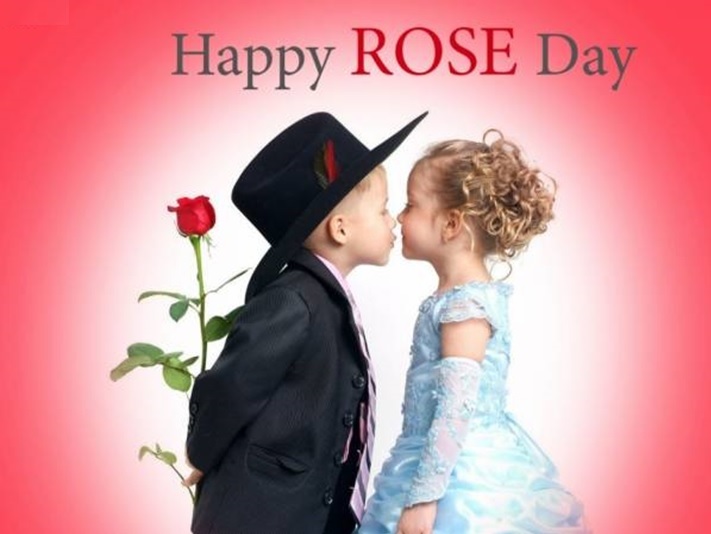 rose day hd images