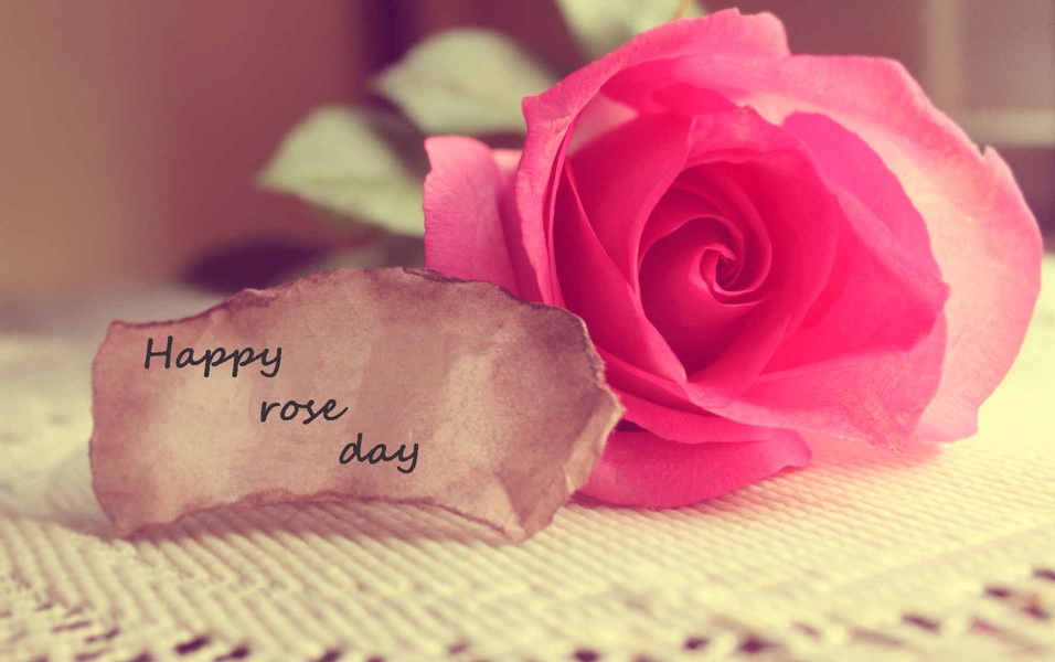 happy rose day 3d pics