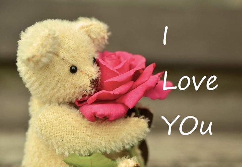 Teddy Day Images HD Wallpapers – Happy Teddy Day 2018 Pictures Photos