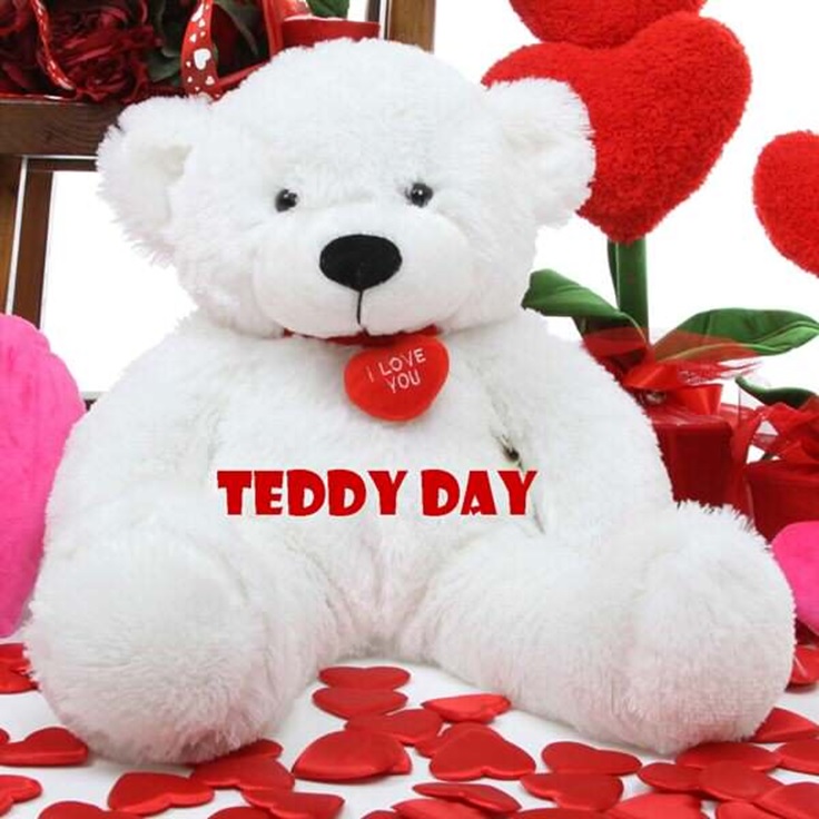 happy teddy day 3d pics