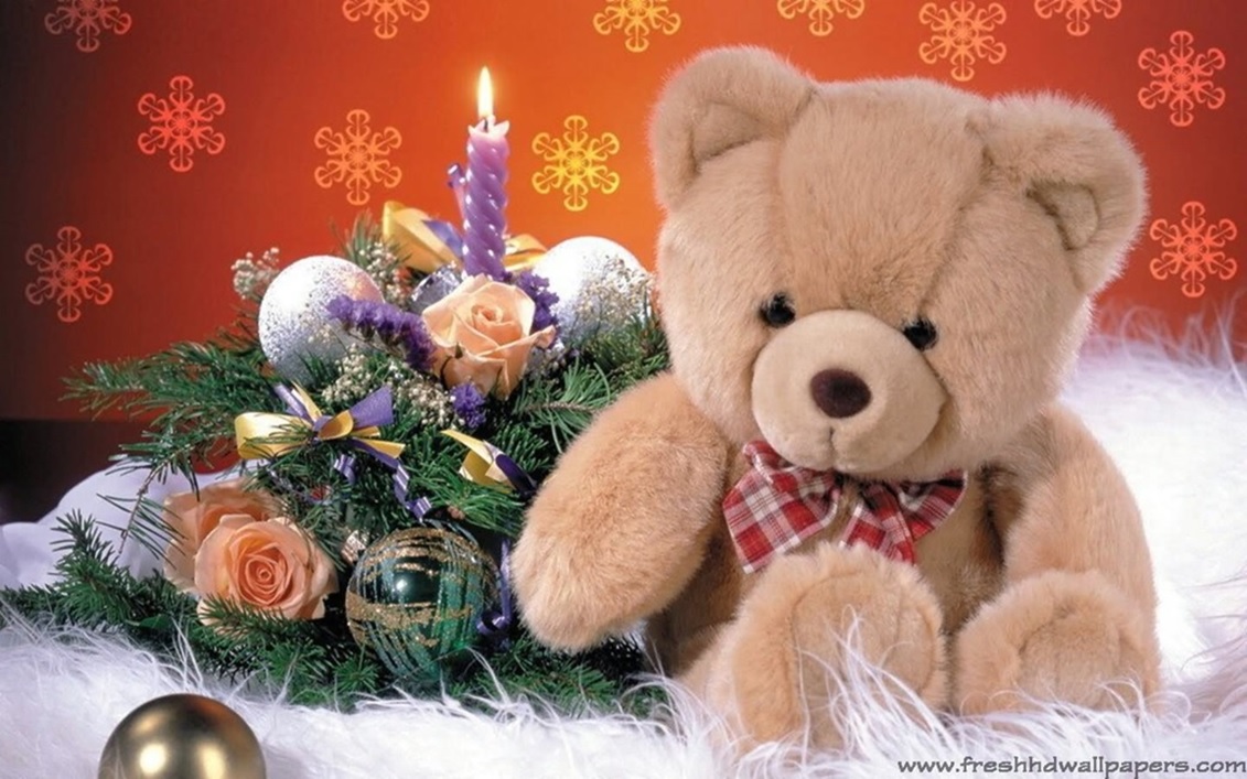 teddy day 2018 hd images