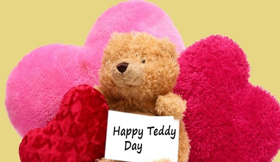 teddy day photos hd