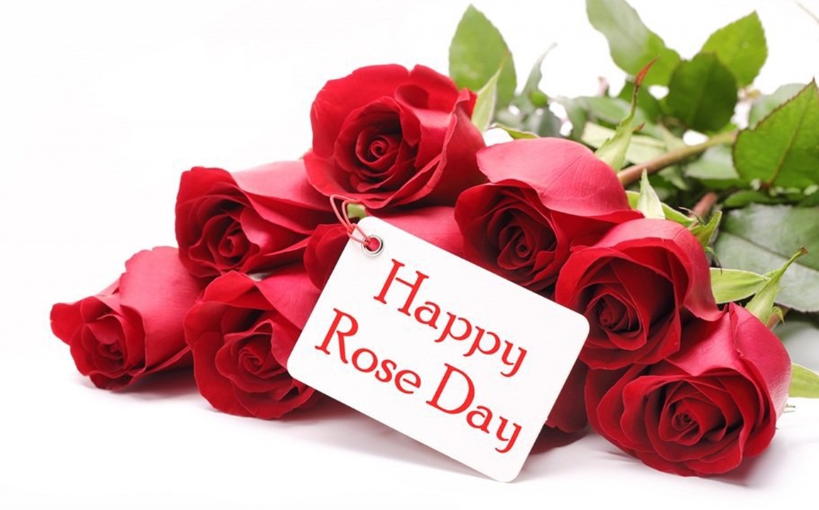 rose day valentine day week