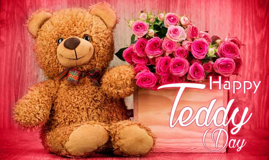teddy day valentine day week