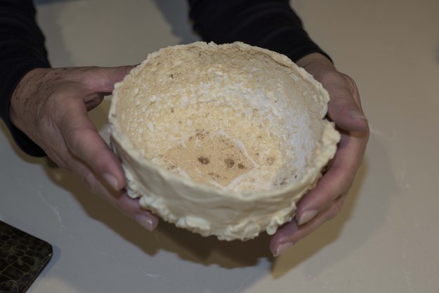 100 years old wedding cake found finally