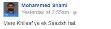 Shami fakefb wall