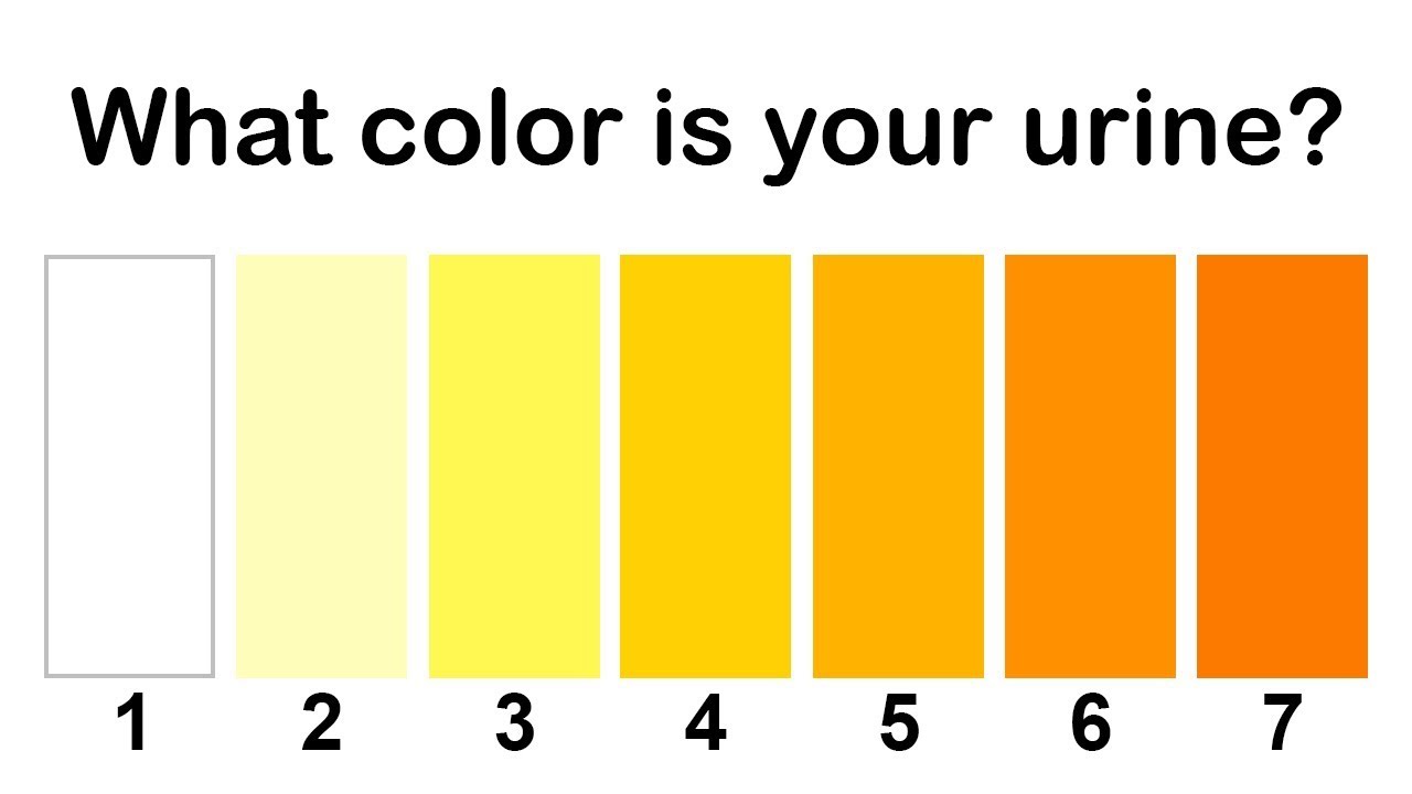 the color of your urine reveals about your health issues must know