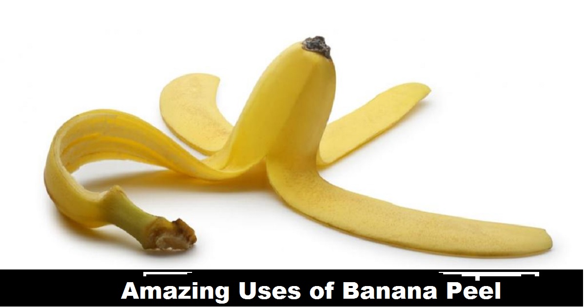 6 Amazing Uses Of Banana Peel You Never Knew! A Beauty & Health Catalyst