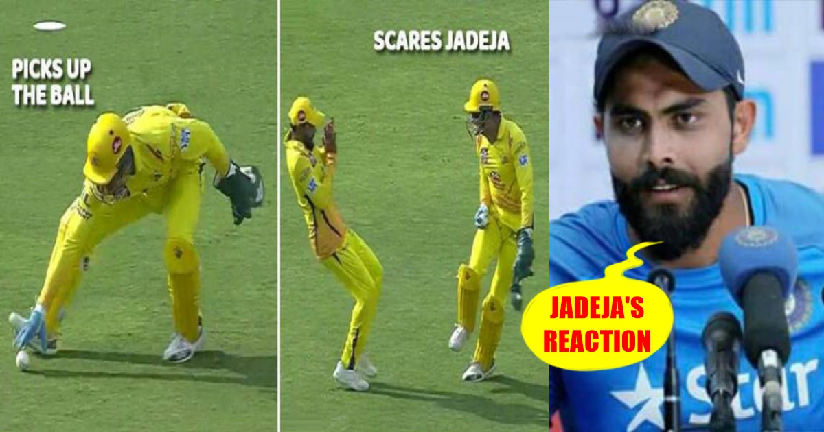 MS Dhoni Trolls Jadeja During The Match, Video Shows Funny Side Of MS