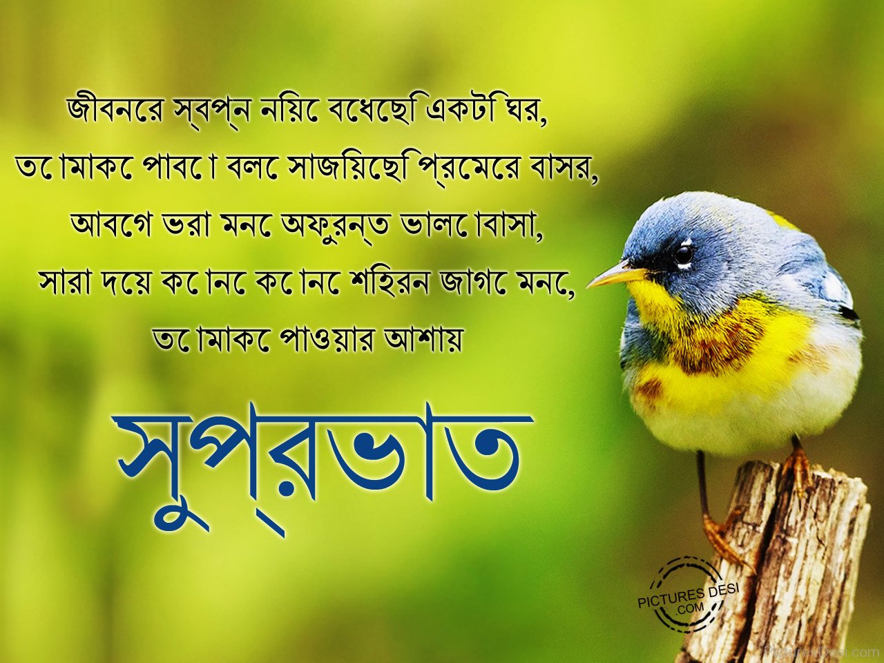 bangla good morning