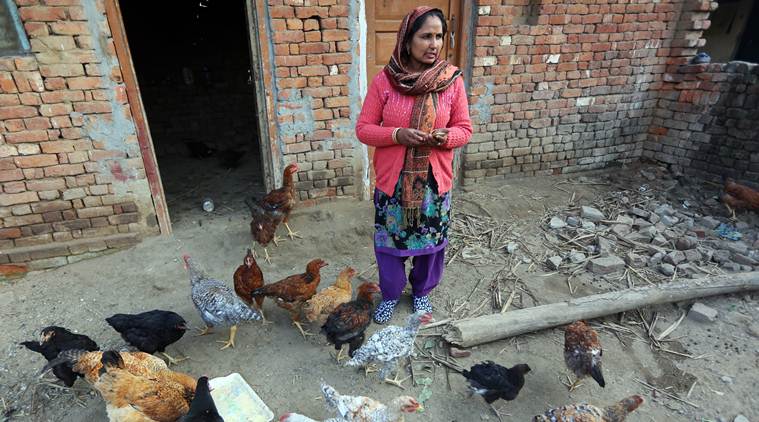 A day in the life of Barita Devi, recipient of 50 chicks under a UP scheme for women