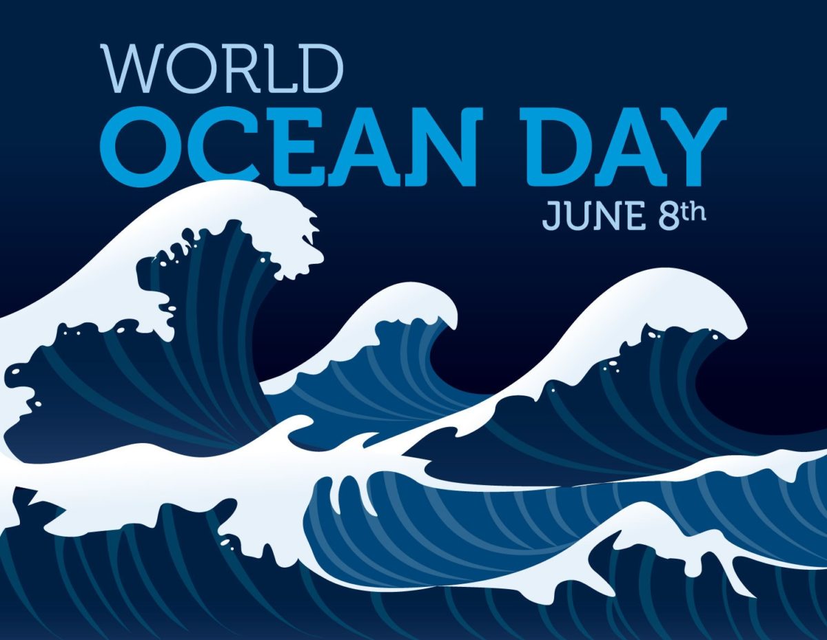 International World Oceans Day HD Pictures And Ultra HD Wallpapers