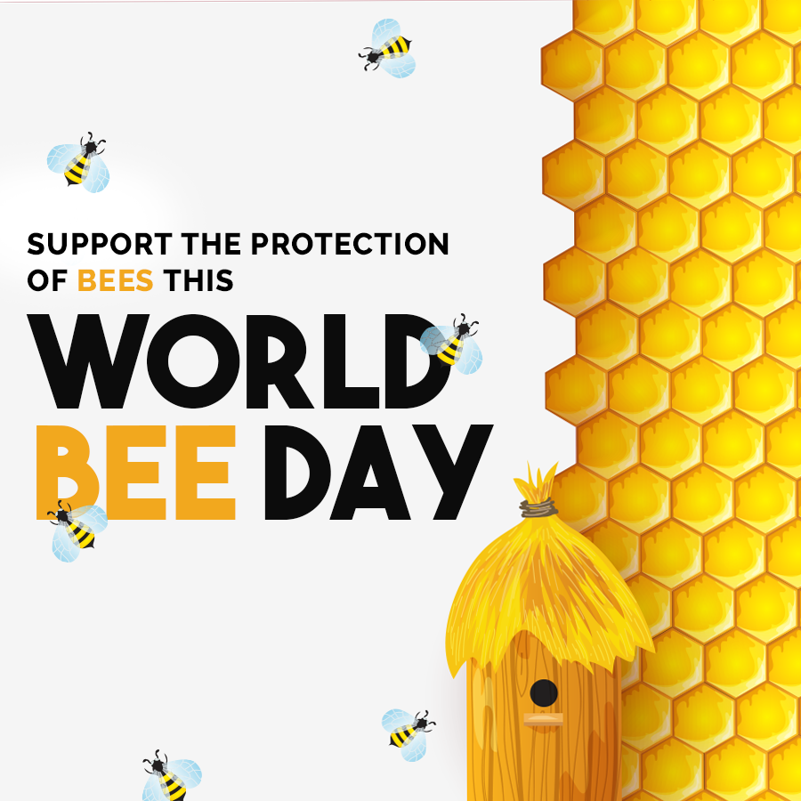 World Bee Day Hd Pictures Images And Ultra Hd Wallpapers For Desktop Mobile Twitter Instagram Whatsapp And Facebook