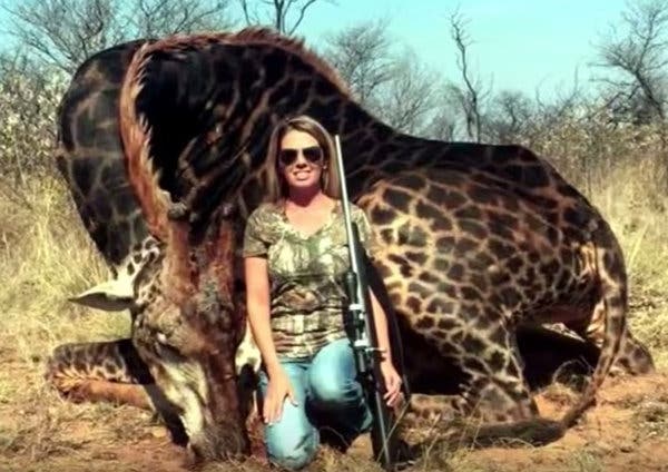 American Hunter Who Killed A Rare Black Giraffe In South -9086