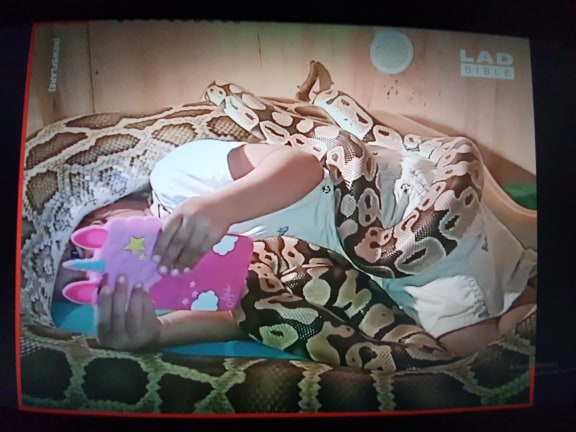 Watch: Girl Lets A Bunch Of Snakes Crawl On Her While She Streams ...