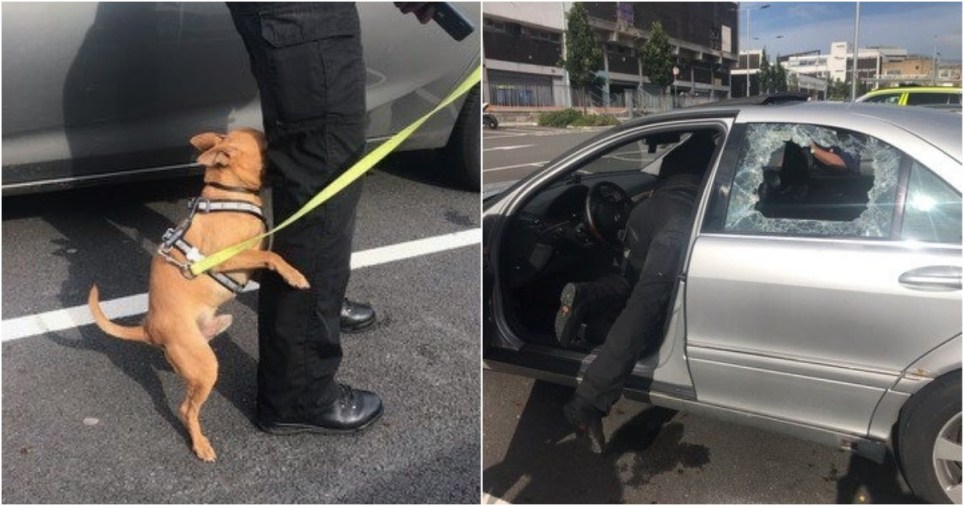 Heatwave: Police Had To Smash Car Window To Save Dog Left In Hot Car