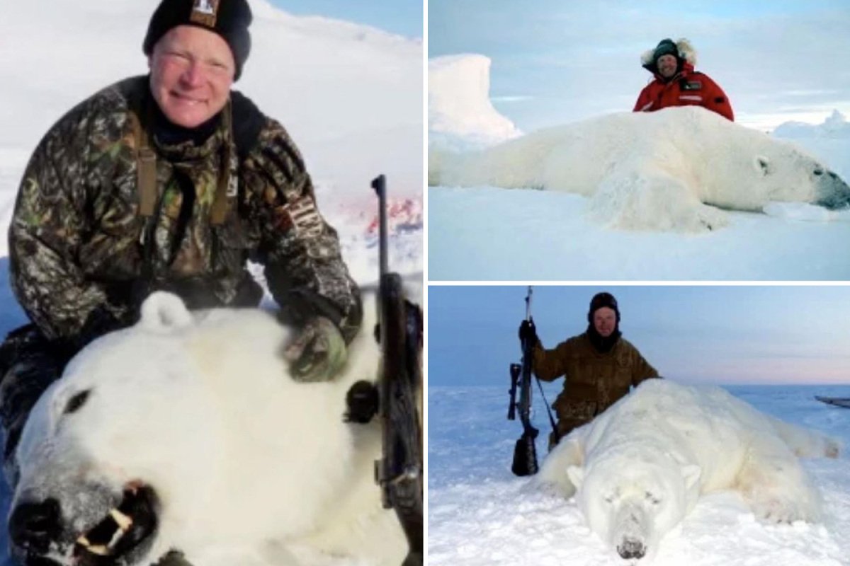 Trophy Hunters Pose Over Corpses Of White Polar Bears That They Killed