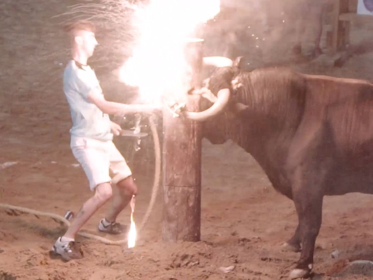 Bull Has Its Horns Set On Fire By Crowd Before Being Knifed To Death In Spanish Festival
