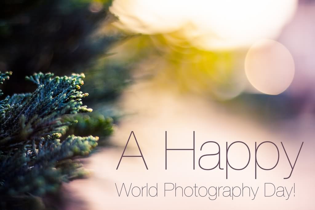 World Photography Day 2020 HD Pictures and Images Twitter Celebrates the  Day with Amazing Quotes Wishes  Greetings   LatestLY