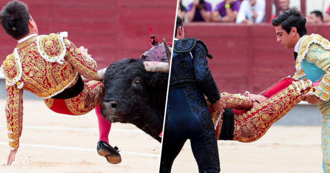 Royal Spanish Bullfighter Is “Gravely Ill” After Bull Gored Him In ...