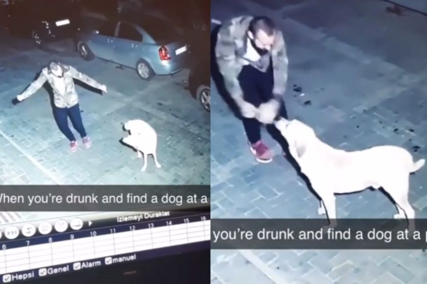 Hilarious Video Shows Man Dancing With Stray Dog In The Middle Of The Night