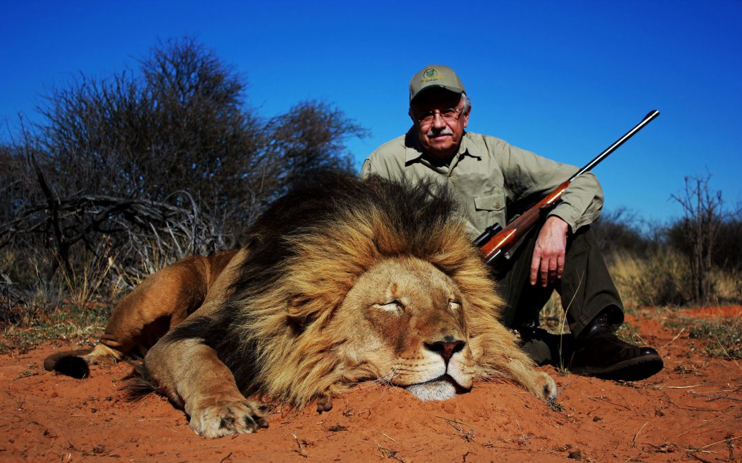 Trophy Hunting Company In Africa Is Offering Buy One, Get One Free Lion