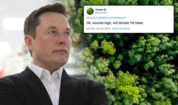 musk teamtrees mrbeast spacex ceo 1million donates rober dorsey