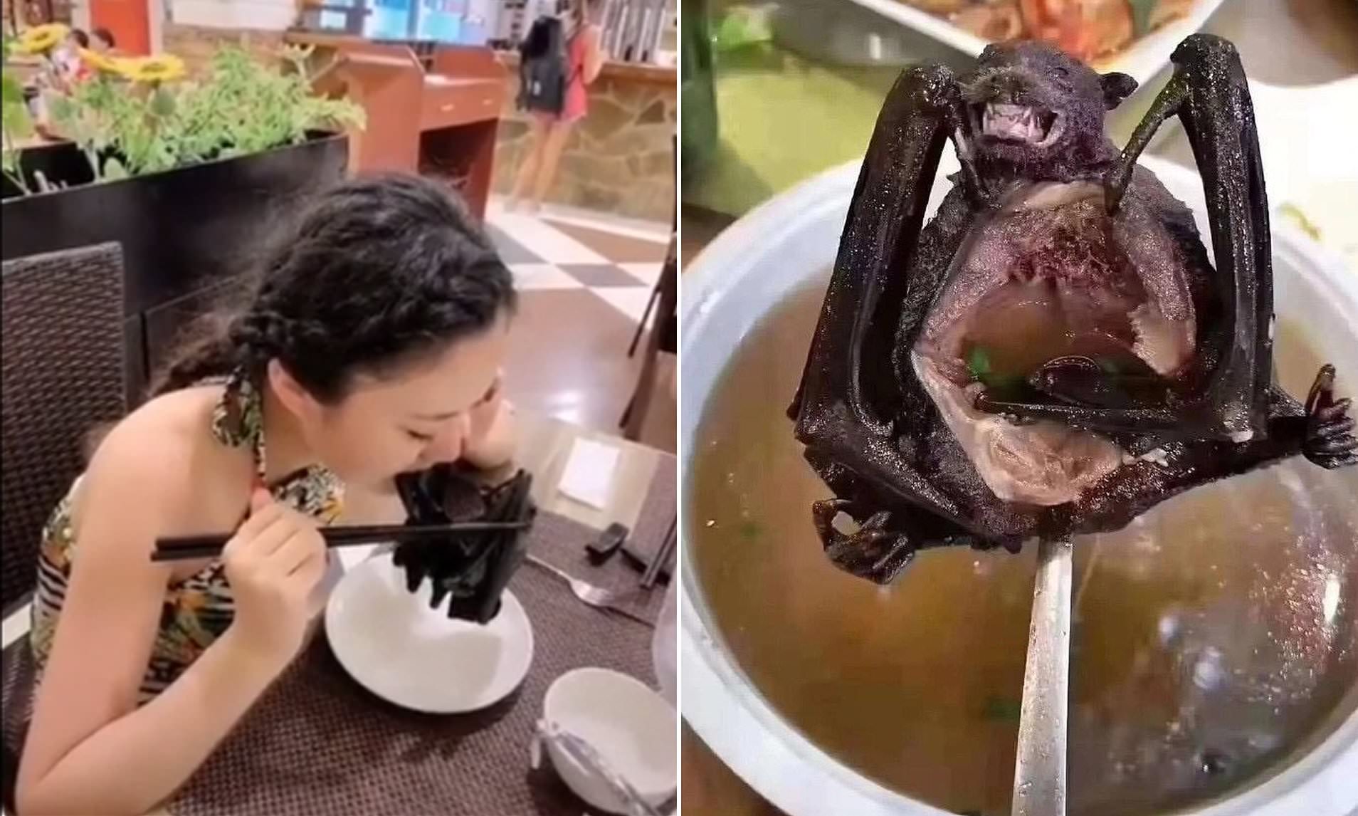 chinese-woman-filmed-eating-a-whole-bat-at-fancy-restaurant-after