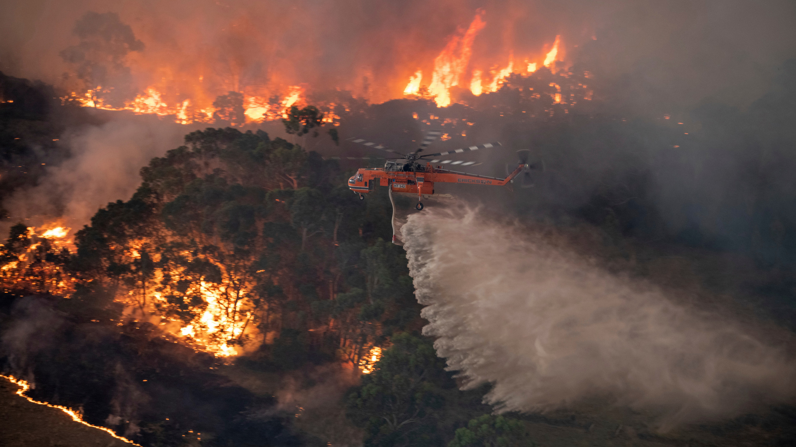 Singer Pink Pledges $500,000 to Help Fight Deadly Brushfires in Australia