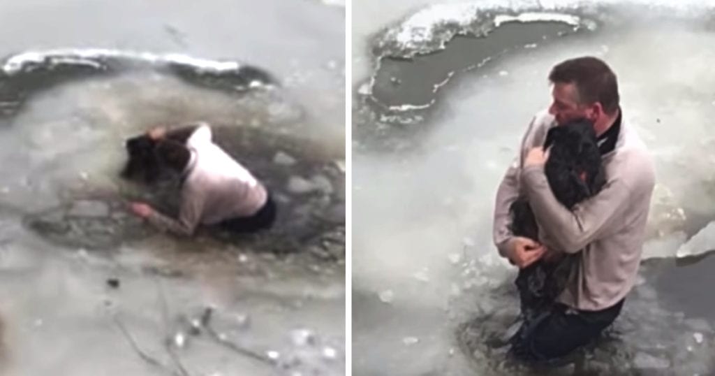 Hero Man Jumps In Freezing Water To Save Trapped Dog
