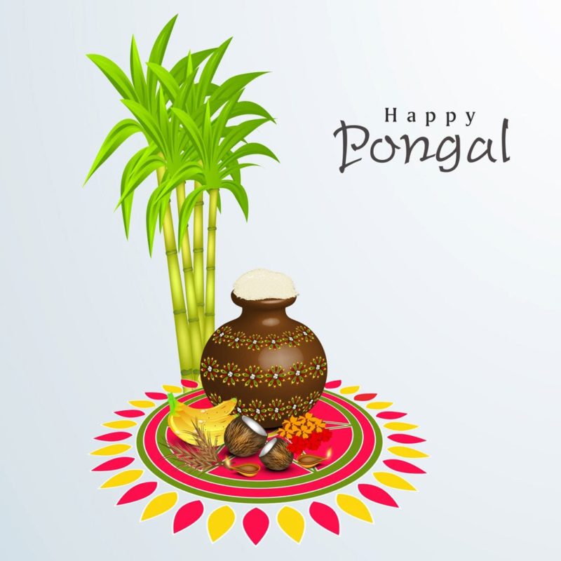 Happy Pongal 2020 Images, HD Pictures, Ultra-HD Wallpapers, 3D Photos