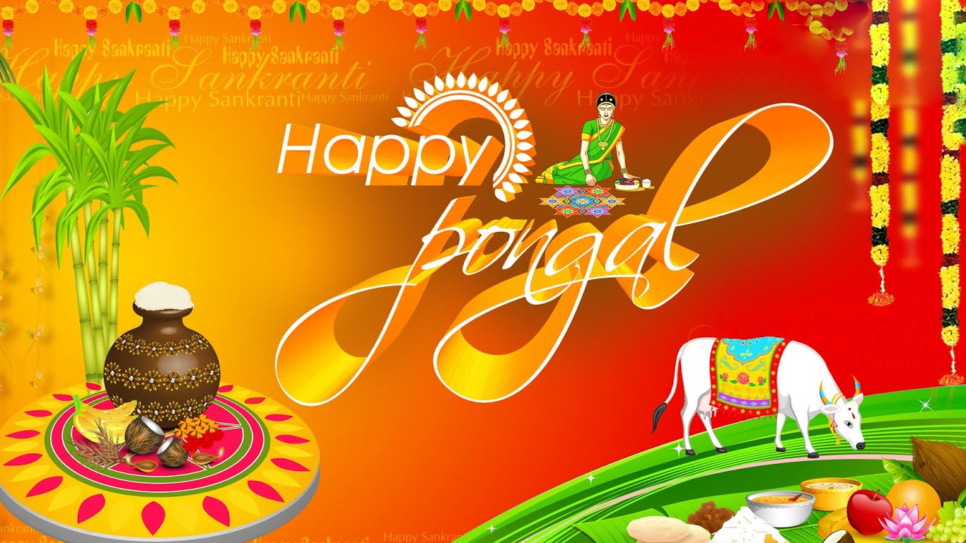 Happy Pongal 2020 Images, HD Pictures, Ultra-HD Wallpapers, 3D Photos