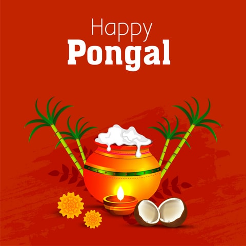 Happy Pongal 2020 Images, HD Pictures, Ultra-HD Wallpapers, 3D Photos, 4K  Photographs, High-Quality Images, And Photos For WhatsApp, Facebook, FB  Story, WhatsApp Story, Instagram, Twitter, IMO, iMessage, WeChat, Line, And  Viber