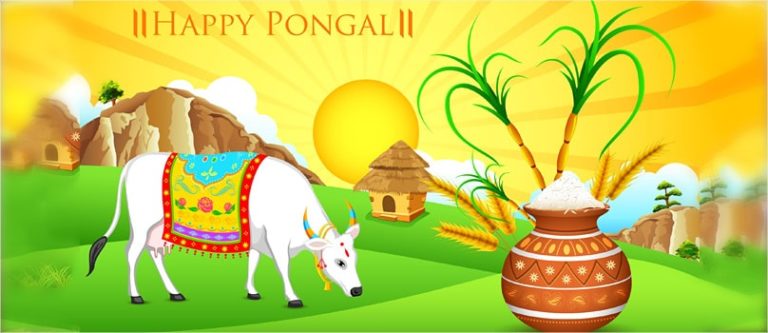 Happy Pongal 2020 Images, HD Pictures, Ultra-HD Wallpapers, 3D Photos