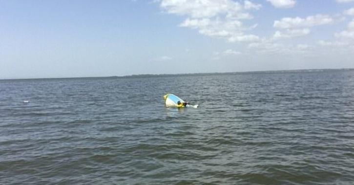 Dog Swims For 11 Hours To Get Help After Owner's Boat Capsizes Off Australian Coast 