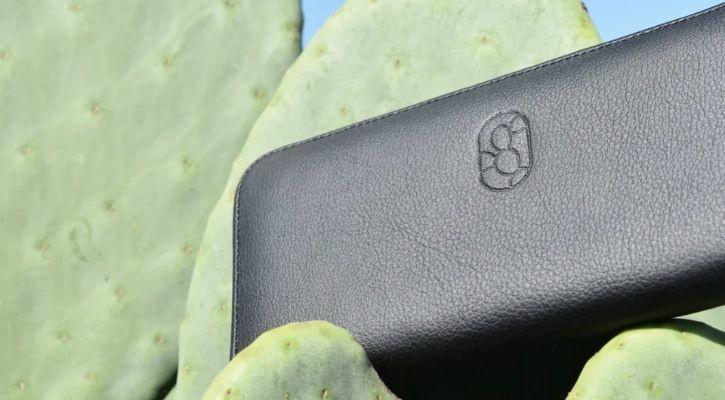 To Save 1 Billion Animals Killed For Fashion. Two Guys Create 'Leather' From Cactus