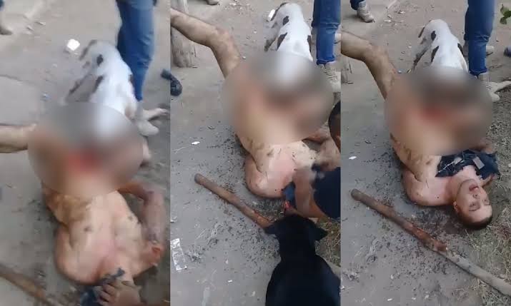 Mexican Gang Tortures Rapist By Making Pitbull Eat His Genitals In The Stre...