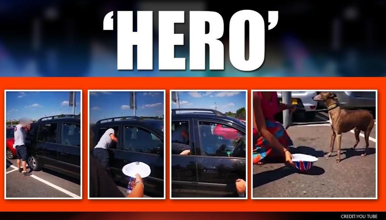 Quick Thinking Shopper Breaks Window To Rescue Dog Trapped Inside Hot Car