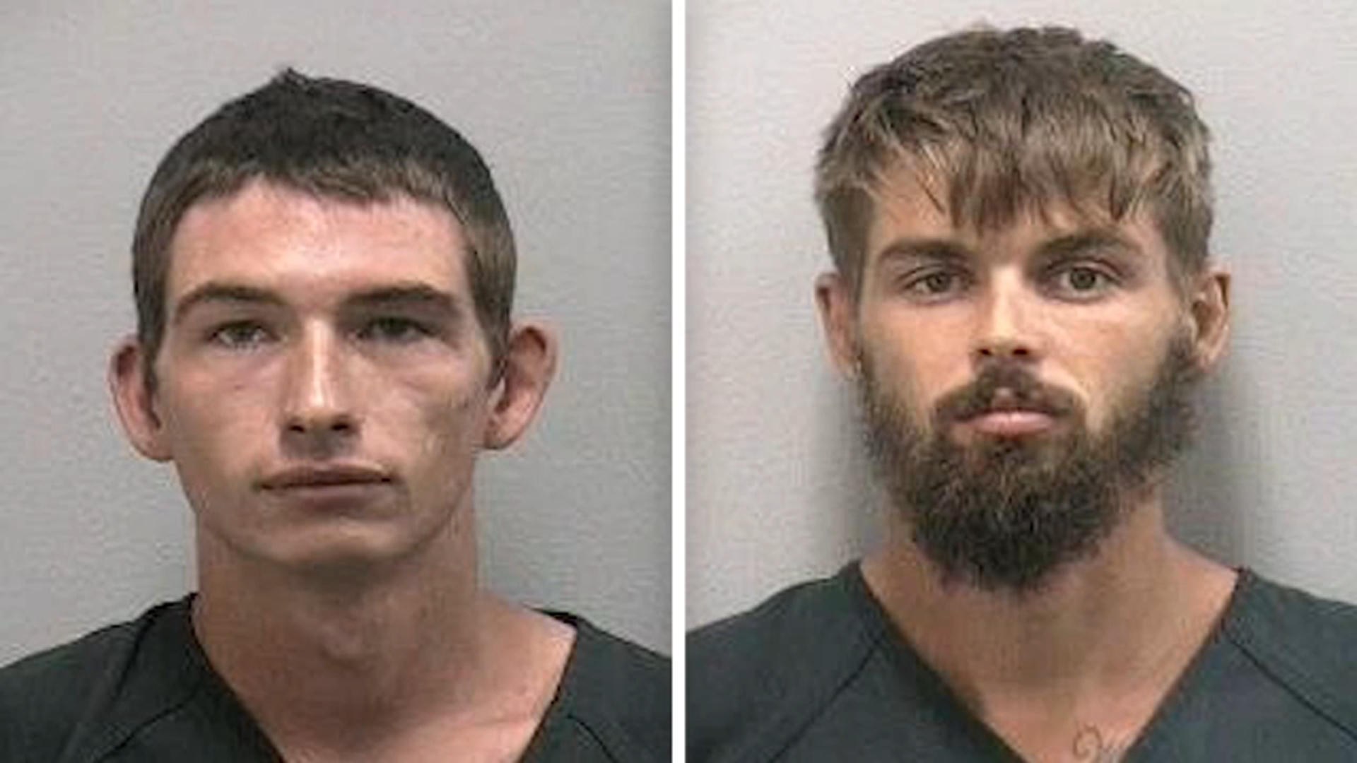 2 Florida Men Tried To Get An Alligator Drunk, They Ended Up Getting 